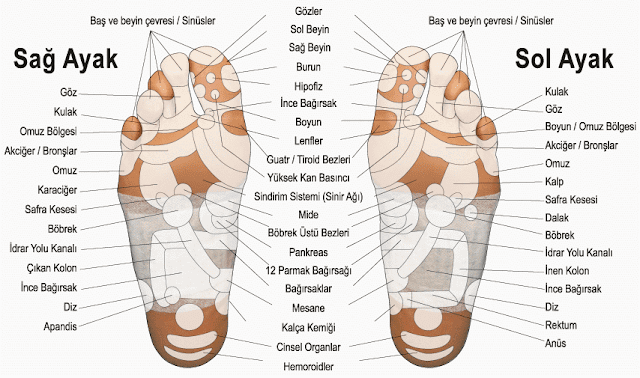 Refleksoloji-ve-ayaktaki-vücut-bağlantıları